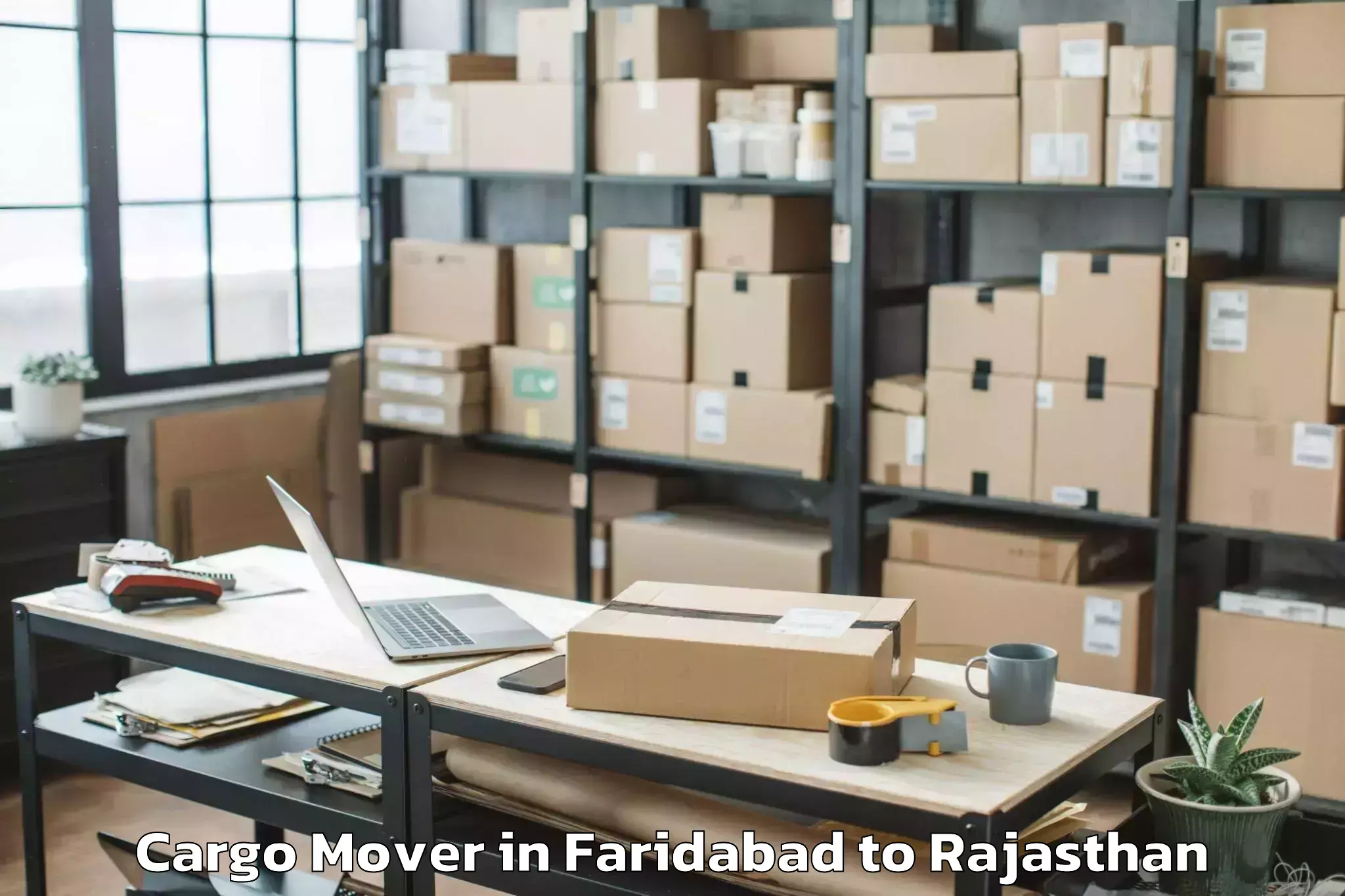 Leading Faridabad to Phulera Sambhar Cargo Mover Provider